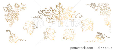 Vine. Vector illustration. Design elements with a twisting golden vine with leaves and grapes. Drawing by hand in the style of line art. The frame is round with a vine. Vine. Vector illustration. Design elements with a twisting golden vine with leaves and grapes. Drawing by hand in the style of line art. The frame is round with a vine. 91535807
