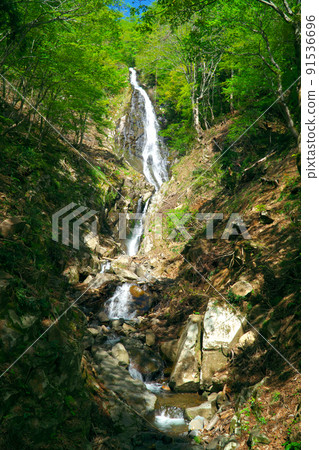Nunotaki 3 on the way over Mt. Hyono, Yabu City, Hyogo Prefecture 91536696