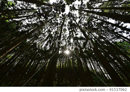 從瀧山脈 從瀧山脈 91537062