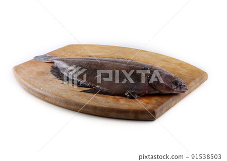 Flathead sole (Hippoglossoides elassodon) isolated on white 91538503