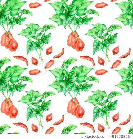 Seamless pattern of sweet potato bushes watercolor illustration isolated 91538866