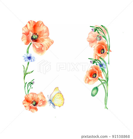 Frame with poppies, meadow flowers and butterfly watercolor illustration isolated Frame with poppies, meadow flowers and butterfly watercolor illustration isolated 91538868