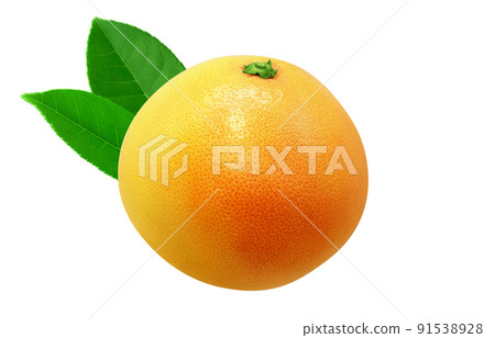Pink grapefruit illustration real Pink grapefruit illustration real 91538928