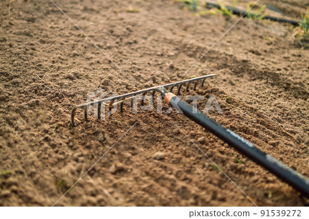 Close up of an new metal garden rake cleaning earth at spring time. Seasonal work 91539272