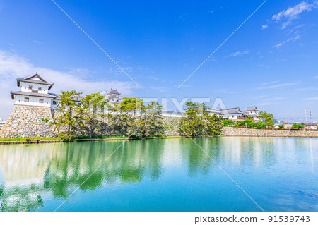 Imabari City, Ehime Prefecture, 100 Fine Castles of Japan, Imabari Castle in fine weather 91539743