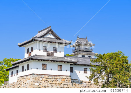 愛媛縣今治市,日本100個精美城堡,天氣晴朗的今治城 愛媛縣今治市,日本100個精美城堡,天氣晴朗的今治城 91539744