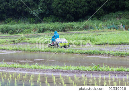 農民種植水稻水稻插秧機 農民種植水稻水稻插秧機 91539916