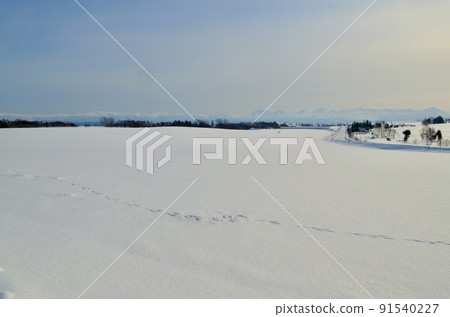 If you follow the trace If you follow the trace 91540227