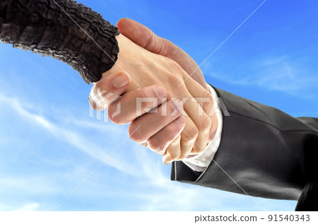 Business handshake Business handshake 91540343