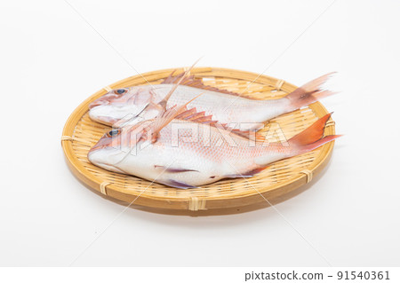 Two natural red sea bream on a colander 91540361