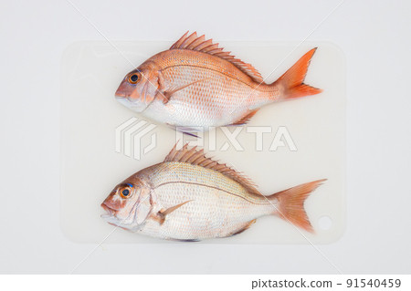 Two sea breams on a white cutting board Two sea breams on a white cutting board 91540459
