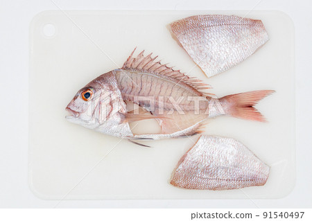 天然紅鯛魚磨成三塊 天然紅鯛魚磨成三塊 91540497