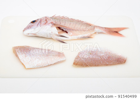 天然紅鯛魚磨成三塊 91540499