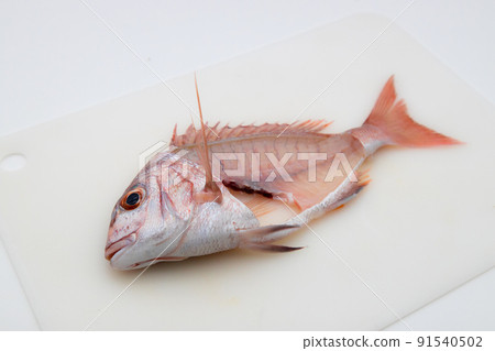 Natural red sea bream grated into three pieces 91540502