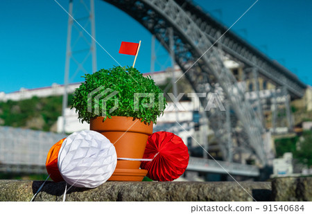 Manjerico plant against Porto bridge, San Juan day 91540684