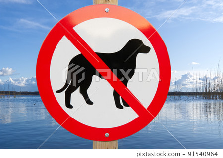 No dog sign on a lake beach. no pets allowed sign to swimm asign summer lake. 91540964