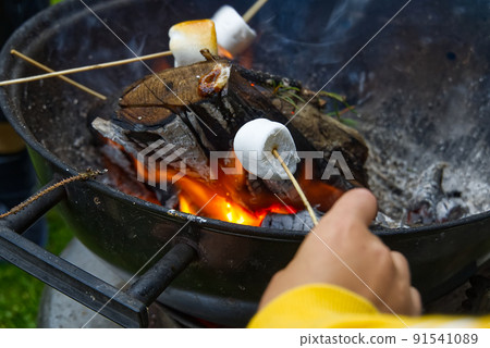 cooking marshmallow on wooden stick over fire. cooking marshmallow on wooden stick over fire. 91541089