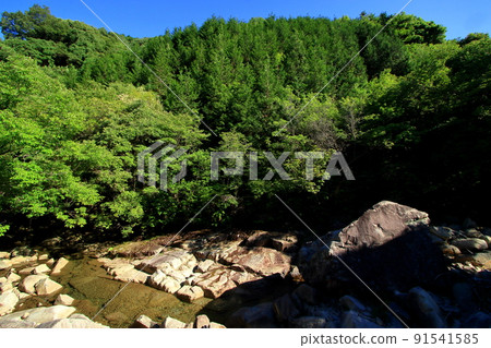 Noro River in summer with a beautiful contrast between the blue sky and green trees 91541585