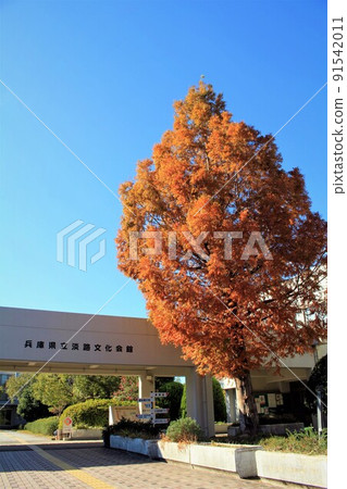 Hyogo Prefectural Awaji Cultural Center Hyogo Prefectural Awaji Cultural Center 91542011