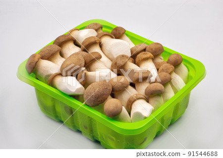 Pleurotus eryngii mushrooms closeup in plastic box. Pleurotus eryngii mushrooms closeup in plastic box. 91544688