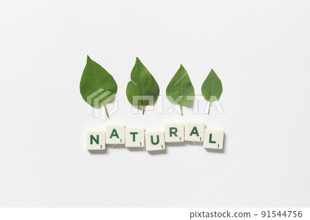 Natural formed of scrabble tiles with tree leaves. 91544756