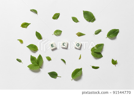 Eco formed of scrabble tiles with tree leaves. 91544770