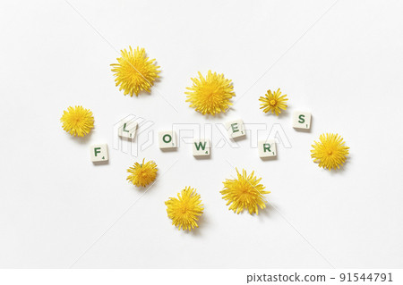 Scrabble tiles with dandelion flowers on white background. Scrabble tiles with dandelion flowers on white background. 91544791