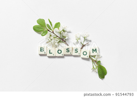 Scrabble letters with blossom on white background. 91544793
