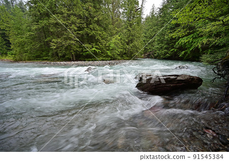 Torrential Avalanche Creek in Glacier National Park, Montana after heavy rains. 91545384