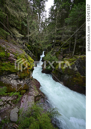 Torrential Avalanche Creek in Glacier National Park, Montana after heavy rains. 91545387
