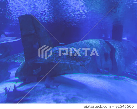 oceanarium in a hot country. The fish in the aquarium live in the water. underwater world of the sea. an abandoned plane lies at the bottom, animals swim on it oceanarium in a hot country. The fish in the aquarium live in the water. underwater world of the sea. an abandoned plane lies at the bottom, animals swim on it 91545500