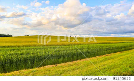 Wonderful field, hills, trees and blue sky with clouds in the countryside. Autumn landscape Wonderful field, hills, trees and blue sky with clouds in the countryside. Autumn landscape 91545635