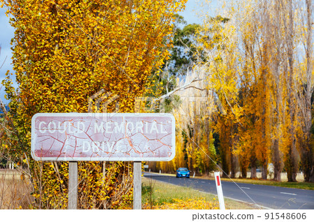 Gould Memorial Drive in Marysville in Australia 91548606