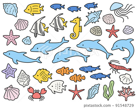 海豚和各種海洋生物的插圖集 海豚和各種海洋生物的插圖集 91548729