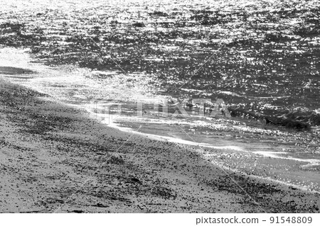 coast coast 91548809