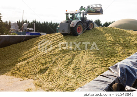 Agricultural machinery preparing fodder Agricultural machinery preparing fodder 91548845