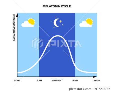 Sleep wake cycle 91549286