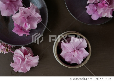 粉色繡球花【插花】 粉色繡球花【插花】 91549426