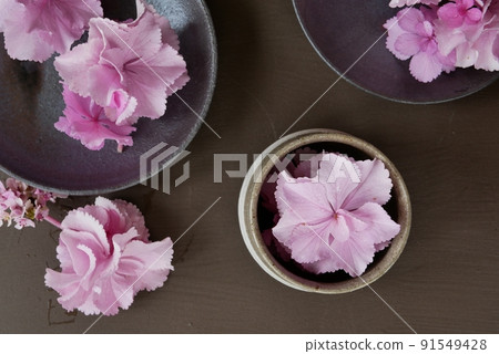 粉色繡球花【插花】 粉色繡球花【插花】 91549428
