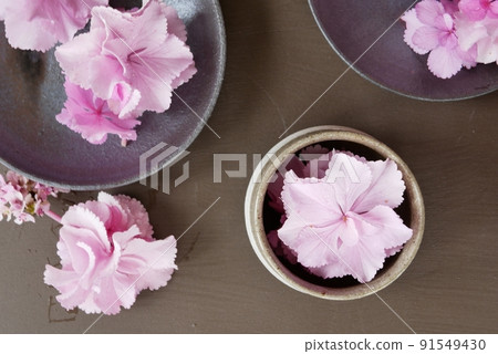 粉色繡球花【插花】 粉色繡球花【插花】 91549430