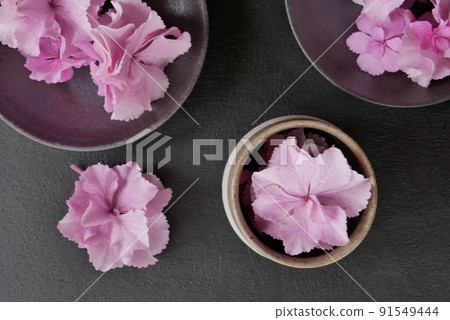 粉色繡球花【插花】 粉色繡球花【插花】 91549444