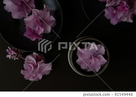 粉色繡球花【插花】 粉色繡球花【插花】 91549448
