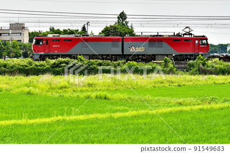 JR東日本鐵路：JR貨運EH500-16 91549683