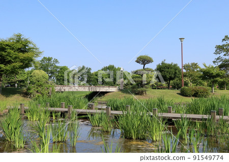 埼玉縣比木區川島町川島平成森林公園風景 埼玉縣比木區川島町川島平成森林公園風景 91549774