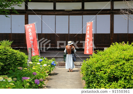 漫步池田山腳下(有山遊格寺)151(岐阜縣宜美區池田町) 漫步池田山腳下(有山遊格寺)151(岐阜縣宜美區池田町) 91550361