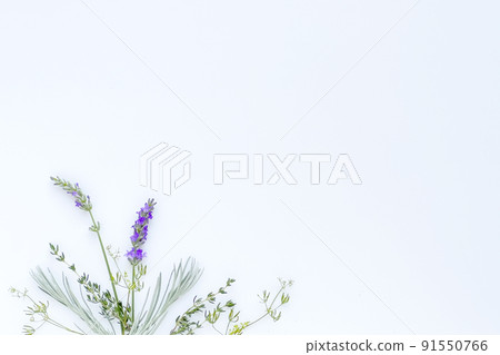 Summer fresh herb frame Summer fresh herb frame 91550766