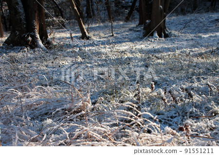 雪經濟 雪經濟 91551211