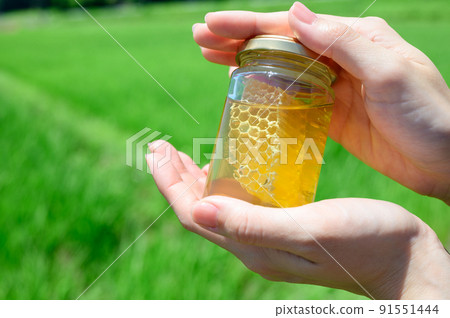 我手中的瓶裝蜂蜜 91551444