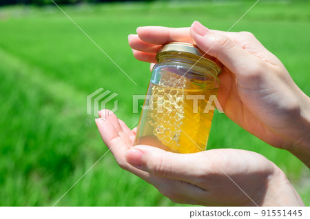 我手中的瓶裝蜂蜜 我手中的瓶裝蜂蜜 91551445