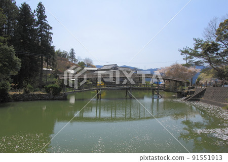 Wooden bridge at Yuge Shrine in Ehime Prefecture 91551913